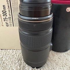 レンズ　キャノン　EF75-300 ISの画像