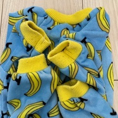 犬  服の画像