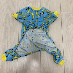 犬  服の画像