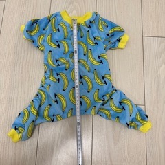 犬  服の画像