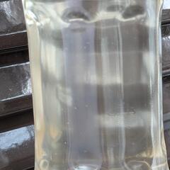 タマミジンコ🤢ペットボトル1本の画像