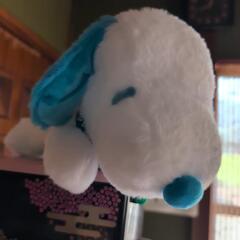 ぬいぐるみ色々の画像