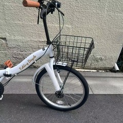 折りたたみ(未使用品)の画像