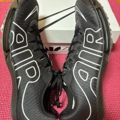 ナイキエアズームマックスフライ27.0cm(NIKE Air zoom MaxFly More up temp)の画像