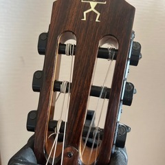 アヌエヌエ  anuene ナイロン弦ギターの画像