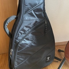 アヌエヌエ  anuene ナイロン弦ギターの画像