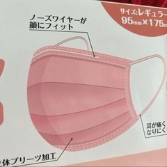 新品　マスク MASK 51枚 防災 不織布 3層構造 メルトブローン 立体プリーツの画像