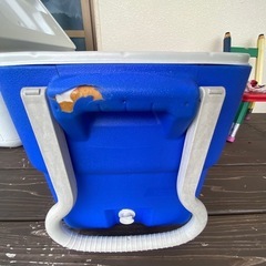Coleman 
クーラーボックスの画像
