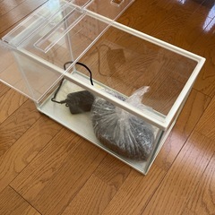 水槽と砂利とポンプの画像