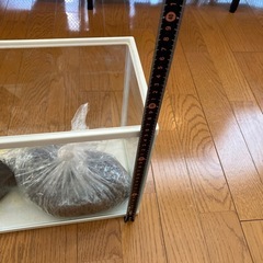 水槽と砂利とポンプの画像