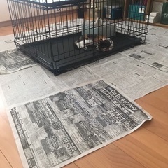キャットケージ　3段の画像