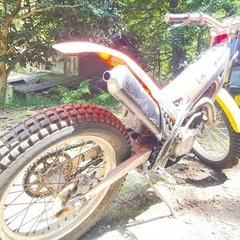 引取 実働 GASGAS TX 250 トライアルバイク オフロード 2stの画像