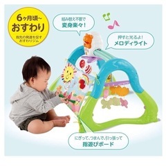ピープル うちの赤ちゃん世界一 全身の知育 メリー&ジム の画像