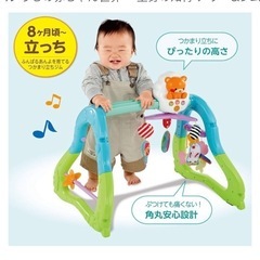 ピープル うちの赤ちゃん世界一 全身の知育 メリー&ジム の画像