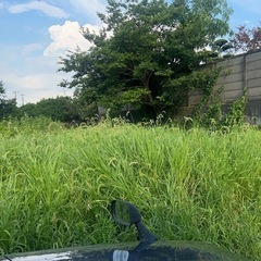 【謝礼あり】19日草刈りなど軽作業を手伝ってください。