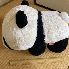 【鹿児島市内、本日（8月18日）引取可能な方】パンダ　ぬいぐるみの画像