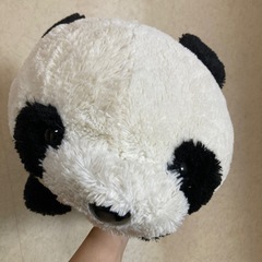 【鹿児島市内、本日（8月18日）引取可能な方】パンダ　ぬいぐるみの画像