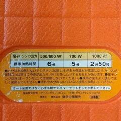 0818-255 エコポカ　電子レンジ　湯たんぽの画像
