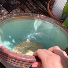 金魚鉢の画像