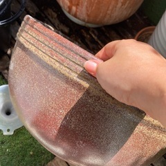 金魚鉢の画像