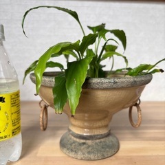 鉢カバー　植木鉢の画像