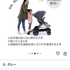 ラスカル　バギーボードの画像