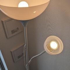 ▼IKEAのスタンドライト▼の画像