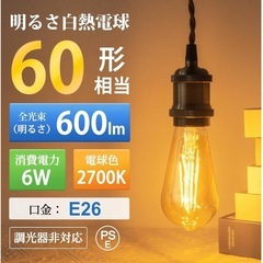 E26 LED エジソン電球 の画像