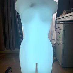 電飾トルソーマネキンの画像