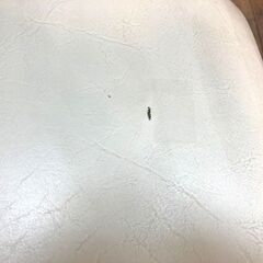 ★回転チェアで出入り楽々！ シンプルデザインのダイニングセット 4人用★の画像
