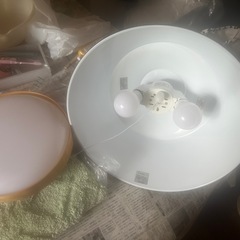 ニトリの電気とLEDの電気無料！の画像