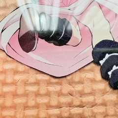 鬼滅の刃まとめ売り
の画像