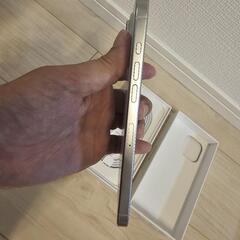 iPhone 16 Pro Max whitetitanium 256GBの画像