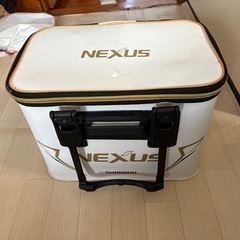 本日受け取りできる方のみ！の画像