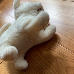 あかちゃんチワワ　ぬいぐるみの画像