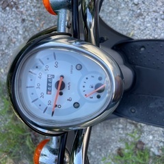 ホンダスクーピー AF55 1,444kmの画像