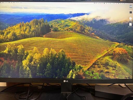 LG 24QP750-B 液晶モニター本体WQHD (シノ) 弘明寺の周辺機器の