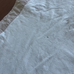 カーペットの画像