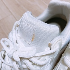 PUMA  NRGY Driver NM ＮＲＧＹ /24.5cmの画像