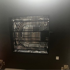 こたつの画像