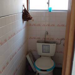 広島県尾道市　使い道自由☀️ ペットOK！ - 尾道市