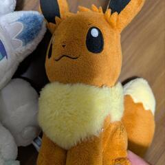 ポケモン　ぬいぐるみの画像