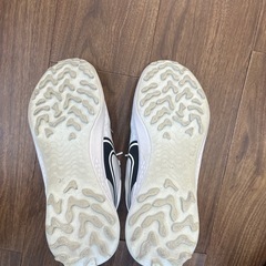ゴルフシューズの画像