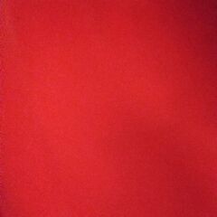 クビレディの画像