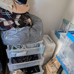 23日限定タダで持ってって下さい。の画像