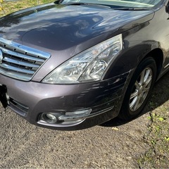 日産　TEANA 車検有りの画像