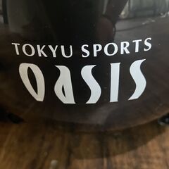 東急スポーツ オアシス ツイストステッパープレミアム　OASISの画像