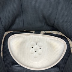 Pigeon Runfee RA9の画像