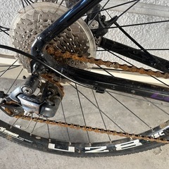 La Bici グラベルロードの画像