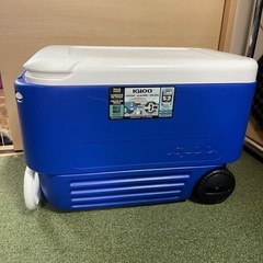 美品！イグルー　クーラーボックスの画像